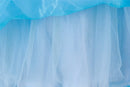 Rainha Elsa